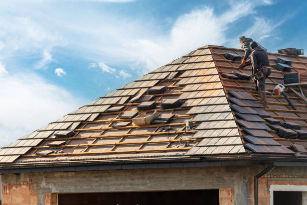 Best Wood Shake Roofing  in Glencoe, MN
